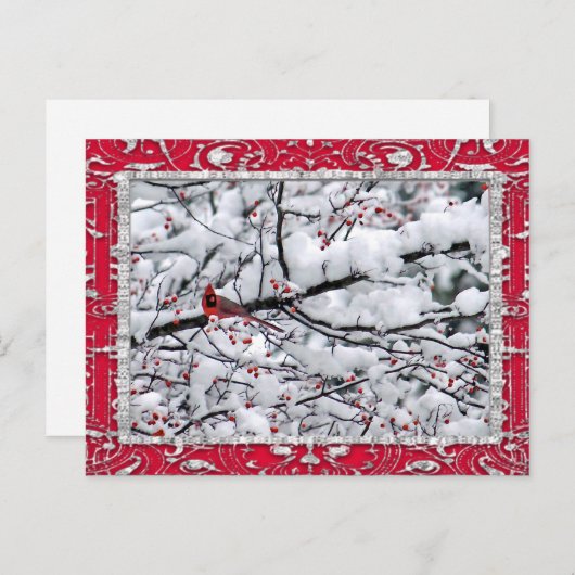 （鳥）ショウジョウコウカンチョウスノーツリーフォトクリスマス ポストカード (正面/裏面)