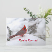 (鳥)ショウジョウコウカンチョウスノー6241誕生日 招待状 (スタンド正面)