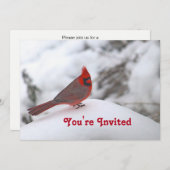 (鳥)ショウジョウコウカンチョウスノー6241誕生日 招待状 (正面/裏面)