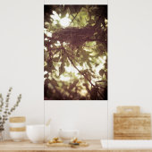 （鳥）ショウジョウコウカンチョウネスト ポスター (キッチン)