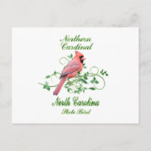 (鳥)ショウジョウコウカンチョウノースカロライナ州バード ポストカード (正面)