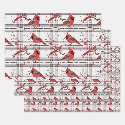 (鳥)ショウジョウコウカンチョウバーズウィンタークリスマスタータンチェックプレイド4 ラッピングペーパーシート (セット)