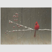 (鳥)ショウジョウコウカンチョウバードウィンターベリーツリーデクページ 薄葉紙 (正面)