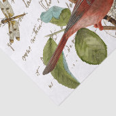 (鳥)ショウジョウコウカンチョウバードネストドラゴンフライフランスのスクリプトミュージック 薄葉紙 (詳細)