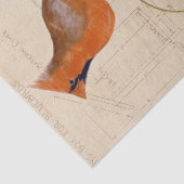 （鳥）ショウジョウコウカンチョウバードバードハウス青写真デカップレッド 薄葉紙 (詳細)