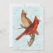 （鳥）ショウジョウコウカンチョウバードブランチスノーウィンタークリスマスティール（緑がかった色） シーズンカード (正面)