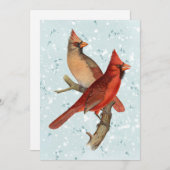 (鳥)ショウジョウコウカンチョウバードブランチスノーウィンタークリスマスティール(緑がかった色) シーズンカード (正面/裏面)