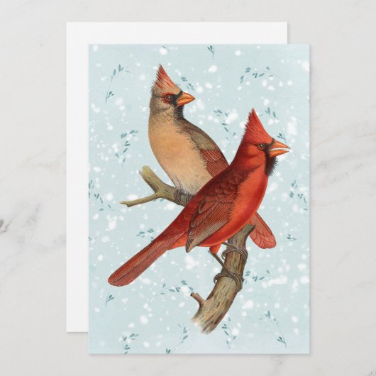 (鳥)ショウジョウコウカンチョウバードブランチスノーウィンタークリスマスティール(緑がかった色) シーズンカード (正面/裏面)