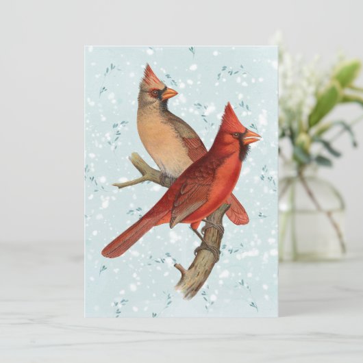 (鳥)ショウジョウコウカンチョウバードブランチスノーウィンタークリスマスティール(緑がかった色) シーズンカード (スタンド正面)