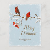 (鳥)ショウジョウコウカンチョウバードメリークリスマスファミリーフォトポストカー ポストカード (正面)