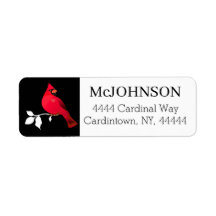 （鳥）ショウジョウコウカンチョウバードレッド白黒雪のアドレエレガントス