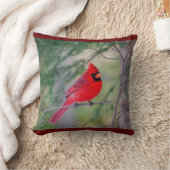 （鳥）ショウジョウコウカンチョウパーチ クッション (ブランケット)