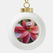 （鳥）ショウジョウコウカンチョウビークリスマス