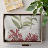 (鳥)ショウジョウコウカンチョウフラワーバイメアリーヴォーウォルコット 薄葉紙 (ギフト)