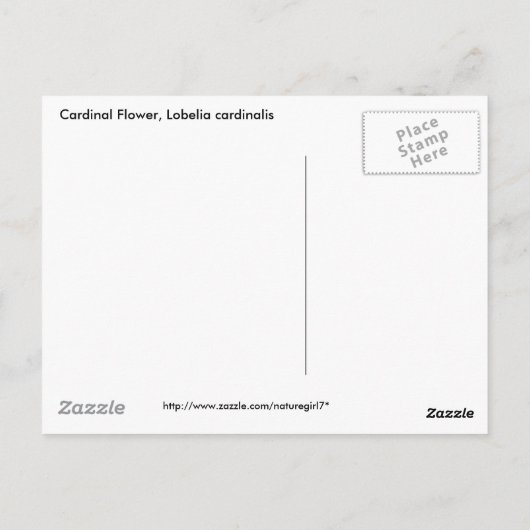 (鳥)ショウジョウコウカンチョウフラワー、ロベリア・カーディナリス ポストカード (裏面)