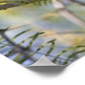 （鳥）ショウジョウコウカンチョウプリント ポスター (角)