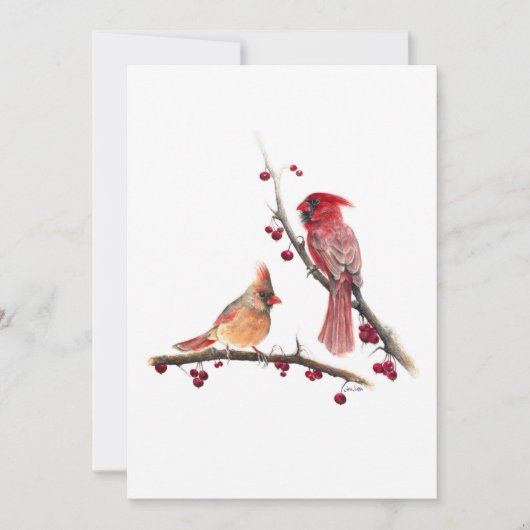 (鳥)ショウジョウコウカンチョウペアの水色 サンキューカード (正面)