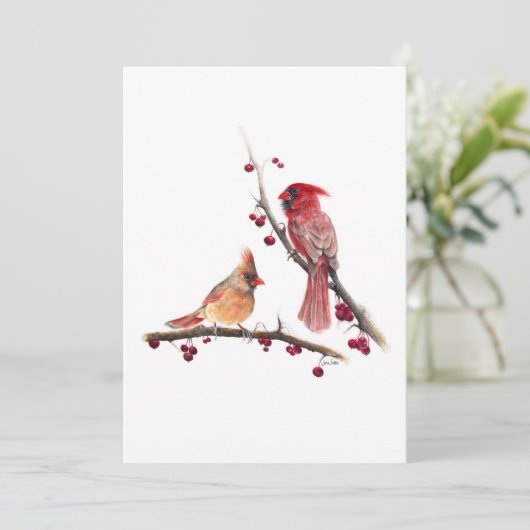 (鳥)ショウジョウコウカンチョウペアの水色 サンキューカード (スタンド正面)