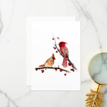 （鳥）ショウジョウコウカンチョウペアの水色