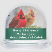 (鳥)ショウジョウコウカンチョウペアインパインツリーウィンターグリーティングカスタム (裏面)