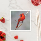 （鳥）ショウジョウコウカンチョウペーパーナプキン スタンダードカクテルナプキン (インサイチュ)