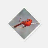 （鳥）ショウジョウコウカンチョウペーパーナプキン スタンダードカクテルナプキン (角)