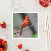 （鳥）ショウジョウコウカンチョウペーパーナプキン スタンダードカクテルナプキン (インサイチュ)