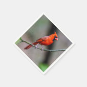 （鳥）ショウジョウコウカンチョウペーパーナプキン スタンダードカクテルナプキン (角)