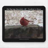 (鳥)ショウジョウコウカンチョウホット春Nat。パークマウントARギフトアパレル マウスパッド (正面)