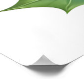 （鳥）ショウジョウコウカンチョウポスター ポスター (角)