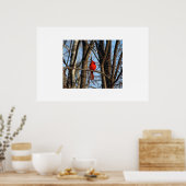 （鳥）ショウジョウコウカンチョウポスター ポスター (キッチン)