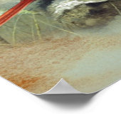 （鳥）ショウジョウコウカンチョウポスター ポスター (角)