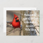 (鳥)ショウジョウコウカンチョウポストカード詩編116:15 ポストカード (正面/裏面)