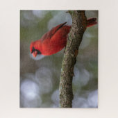 (鳥)ショウジョウコウカンチョウポートレート ジグソーパズル (縦)