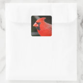 （鳥）ショウジョウコウカンチョウポートレート – 鳥 スクエアシール (バッグ)