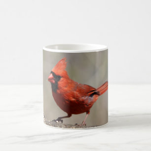 (鳥)ショウジョウコウカンチョウマグカップ コーヒーマグカップ