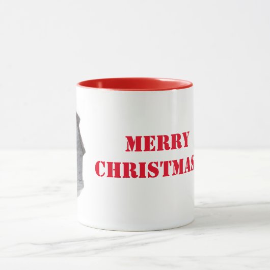 (鳥)ショウジョウコウカンチョウマグカップ マグカップ (中央)