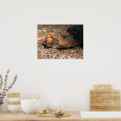 （鳥）ショウジョウコウカンチョウママ&ベビーポスター ポスター (キッチン)