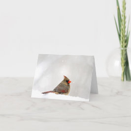 （鳥）ショウジョウコウカンチョウメモ/グリーティングカード カード