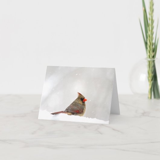 （鳥）ショウジョウコウカンチョウメモ/グリーティングカード カード (正面)