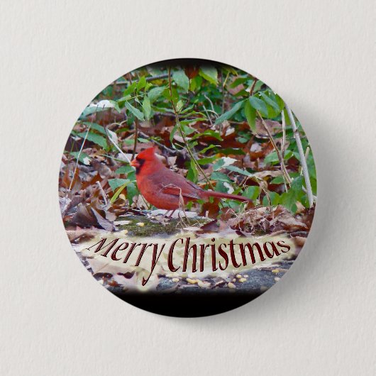 (鳥)ショウジョウコウカンチョウメリークリスマスアイテム 缶バッジ (正面)