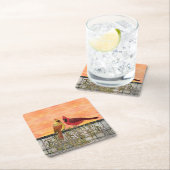 （鳥）ショウジョウコウカンチョウラブバード紙コースター スクエアペーパーコースター (インサイチュ)