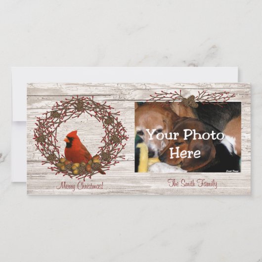 （鳥）ショウジョウコウカンチョウリースフォトカード シーズンカード (正面)