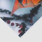 (鳥)ショウジョウコウカンチョウレッドウィンタースノーツリーイラストレーション 薄葉紙 (詳細)