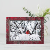 （鳥）ショウジョウコウカンチョウレッドバードスノーフォトクリスマスフラット シーズンカード (スタンド正面)