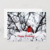 （鳥）ショウジョウコウカンチョウレッドバードスノーフォト誕生日 ポストカード (正面/裏面)