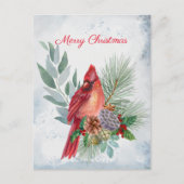 (鳥)ショウジョウコウカンチョウレッドパイン緑のクリスマス シーズンポストカード (正面)