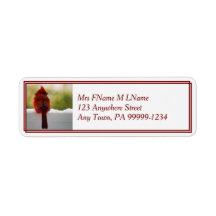 （鳥）ショウジョウコウカンチョウ入り