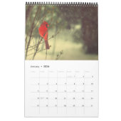 （鳥）ショウジョウコウカンチョウ写真 カレンダー (1月 2026)