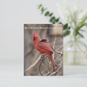 （鳥）ショウジョウコウカンチョウ励ましはがき ポストカード (スタンド正面)